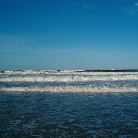 Meet your Posher, Anne - Picture 1 of 1